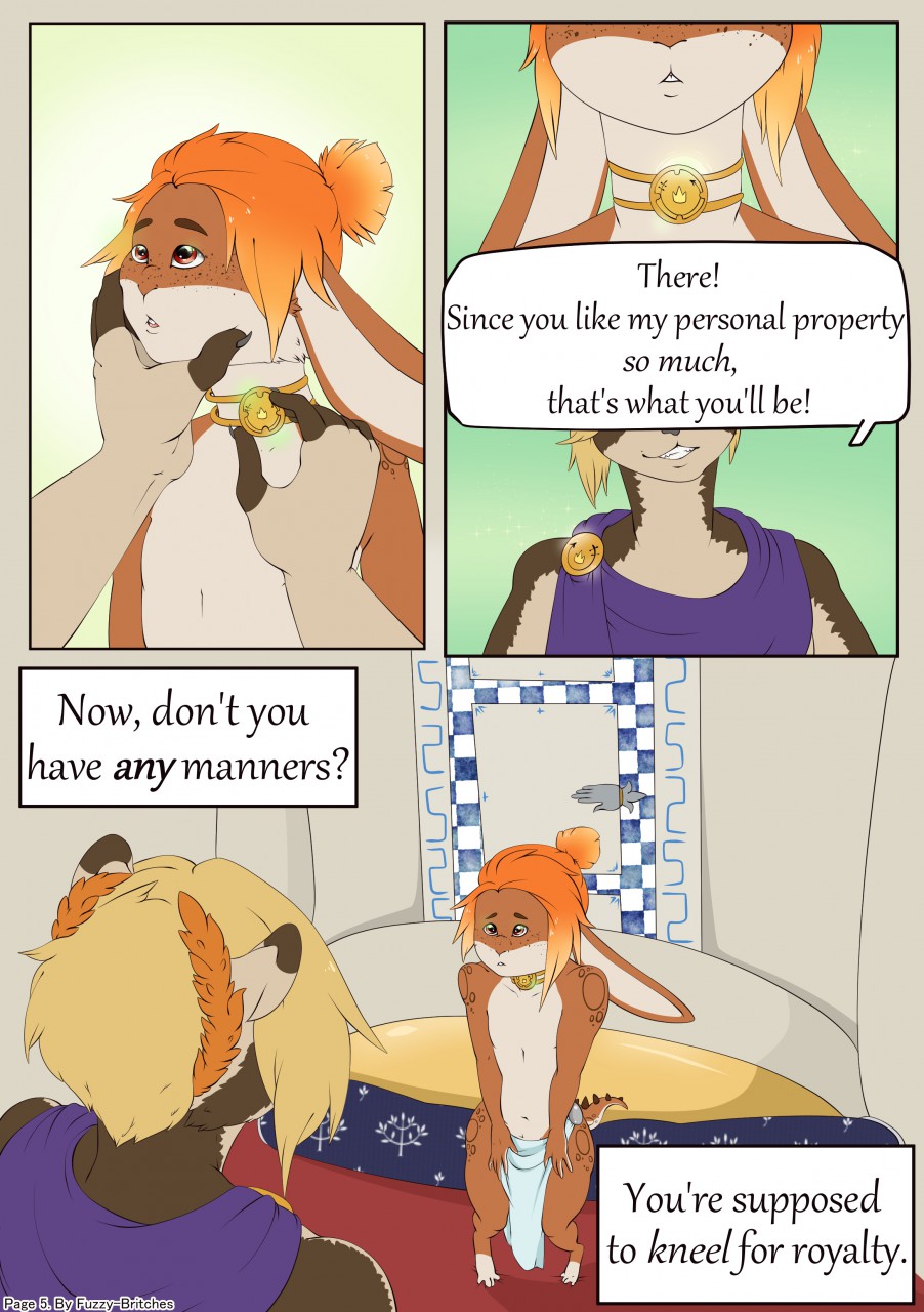Page 5